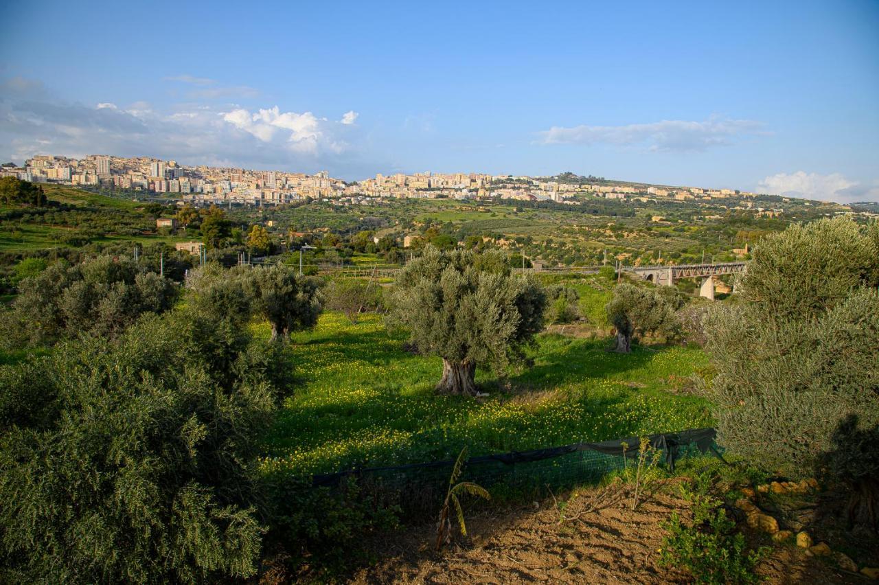 أغريجنتو Villa Caterina المظهر الخارجي الصورة