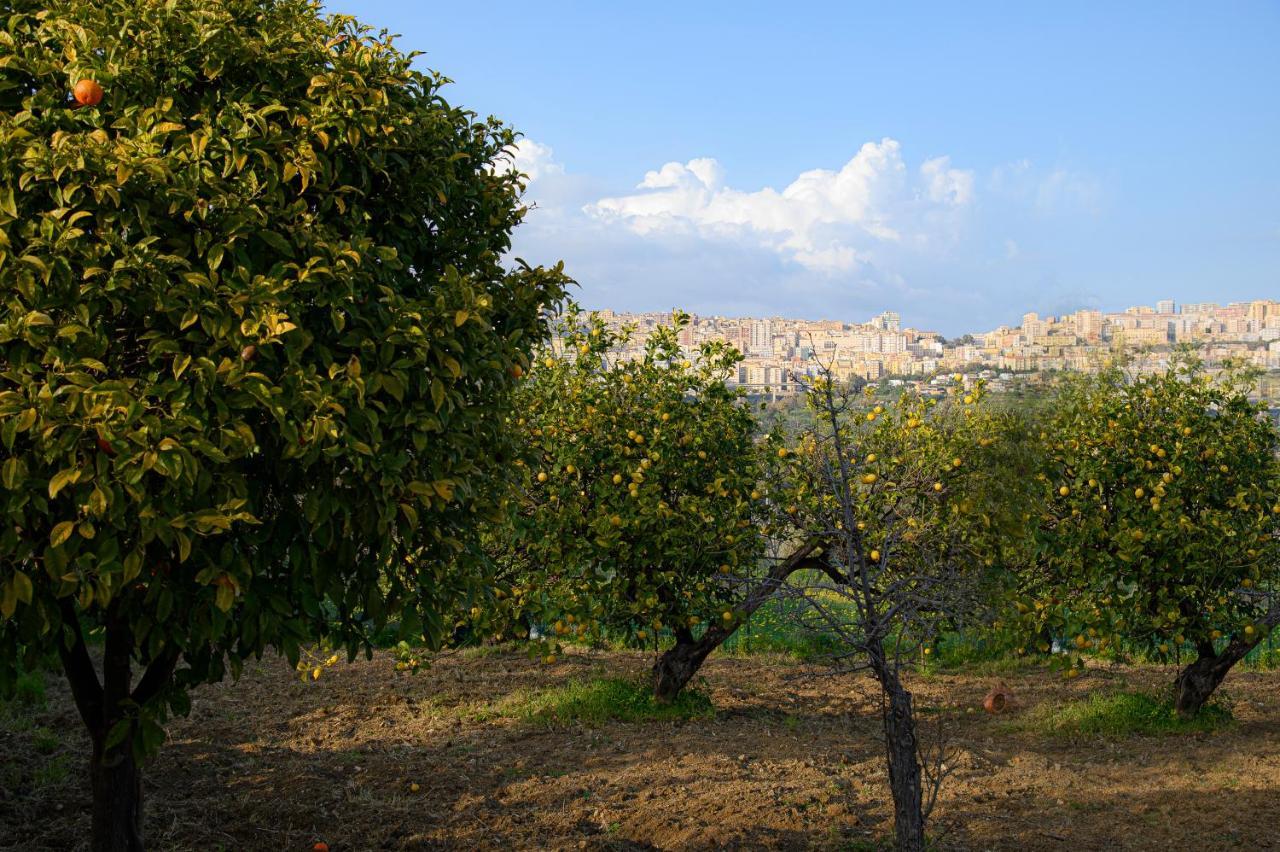 أغريجنتو Villa Caterina المظهر الخارجي الصورة